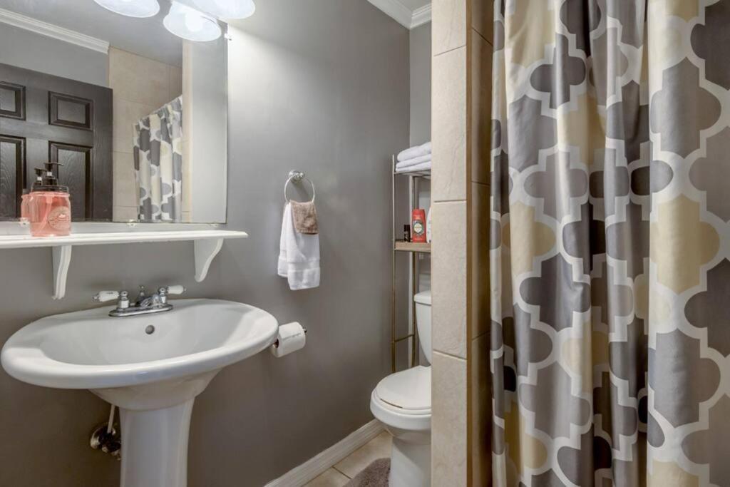 Dexters Cottage Near Downtown And Cafes تامبا المظهر الخارجي الصورة